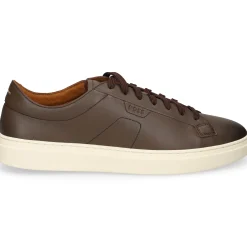 BOSS Zapatillas de Hombre Kieran_Tenn_bustd 10275985 201 DARK BROWN